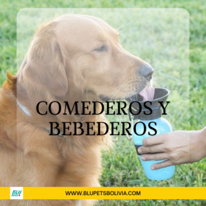 Comederos y Bebederos