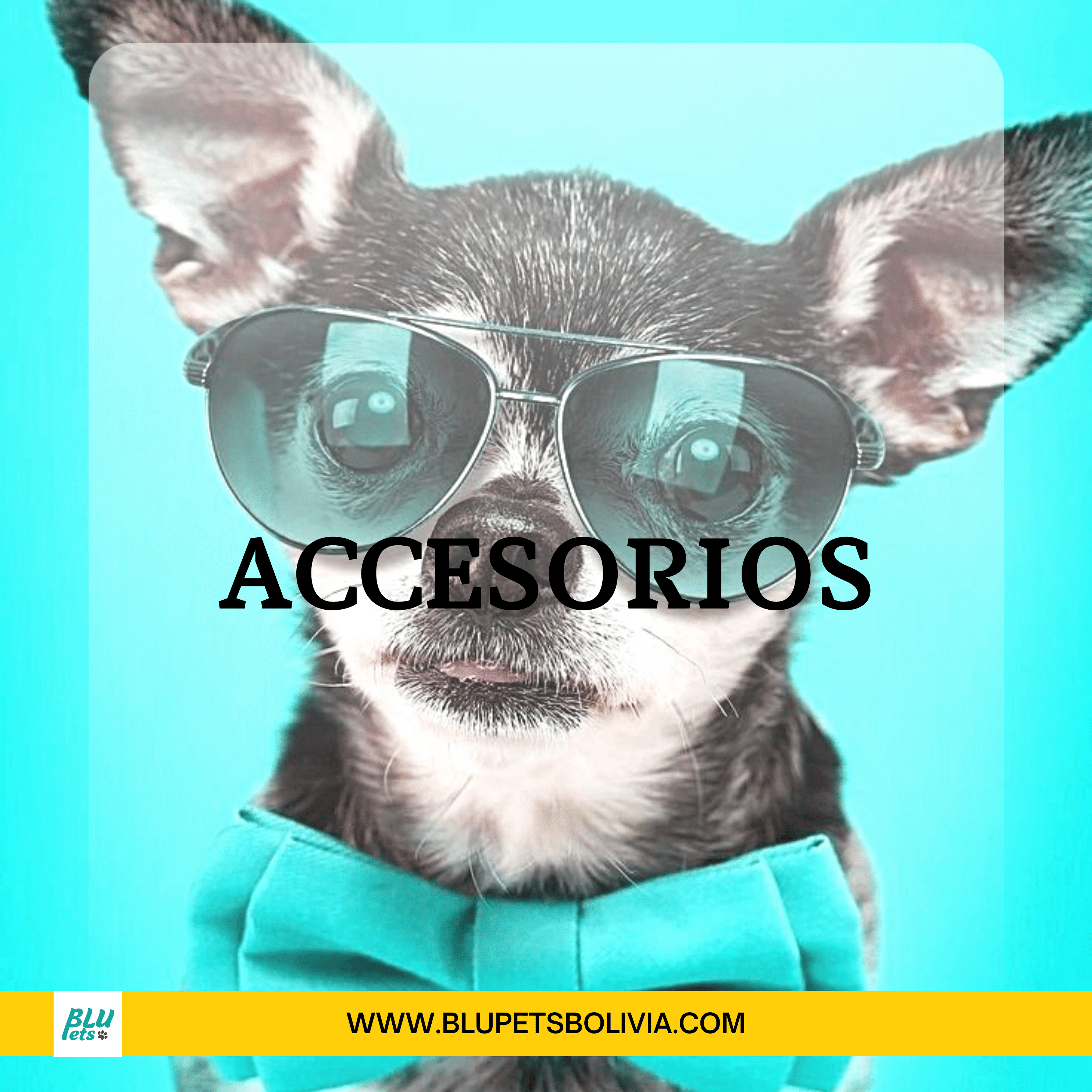 Accesorios