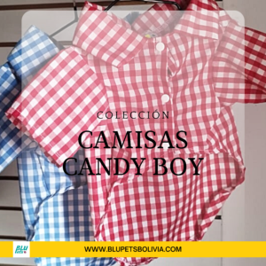 Camisas Candy Boy